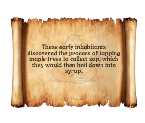 Maple Syrup 2-2